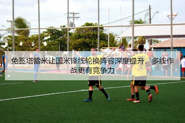 mian-qian-ta-lei-mi-rang-guo-mi-feng-xian-lun-huan-zhen-rong-shen-du-ti-sheng-duo-xian-zuo-zhan-geng-you-jing-zheng-li-2-696.jpg